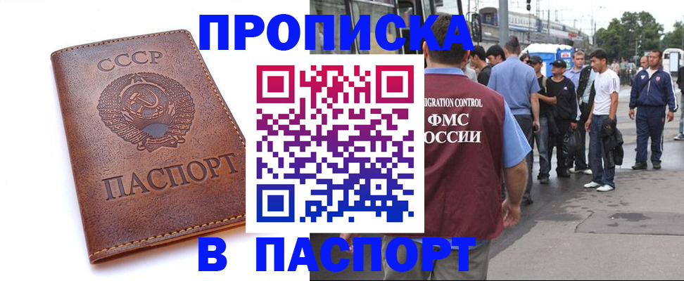 временная регистрация поиск в Алексеевке